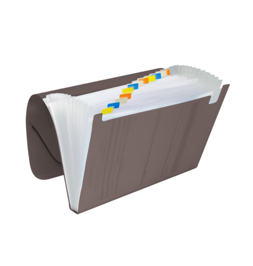 Pasta Sanfonada Ofício Fumê com 12 Divisões - DAC